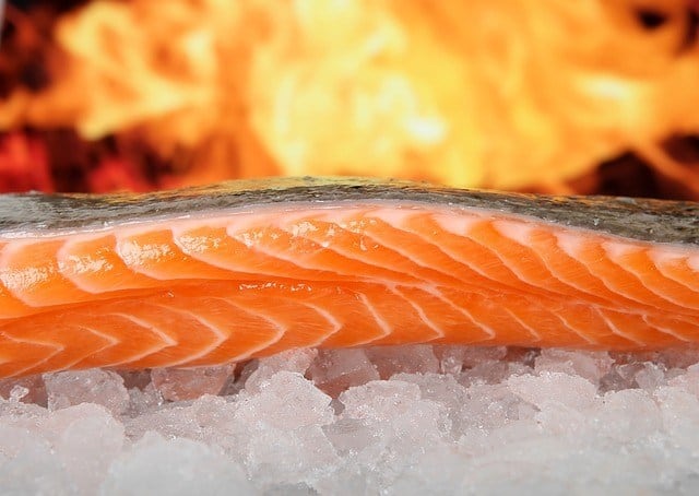 salmon 1238662 640