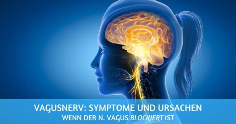 Vagusnerv Symptome & Ursachen – wenn der Nervus Vagus blockiert ist