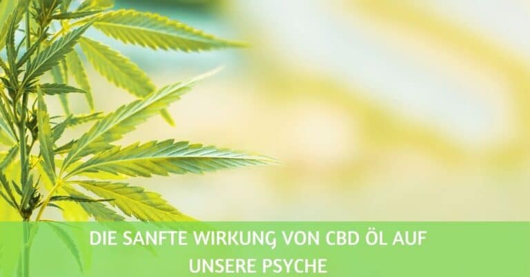 Die sanfte Wirkung von CBD Öl (Cannabidiol) auf unsere Psyche