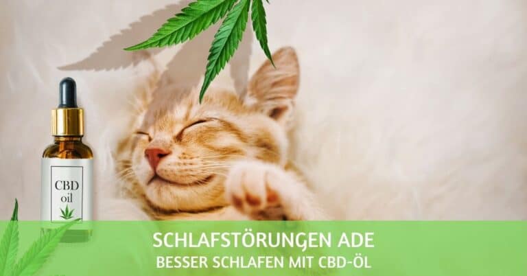 CBD Öl zum Schlafen: gute Erfahrungen bei Schlafstörungen