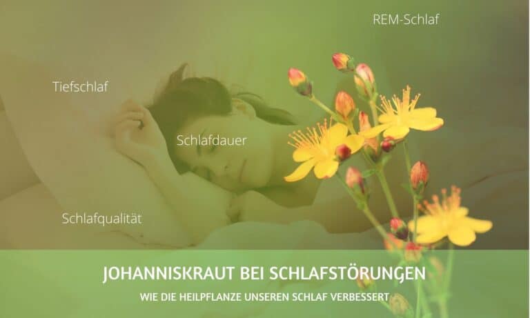 Schlaflosigkeit und Schlafprobleme: so verhilft uns Johanniskraut zu besserem Schlaf