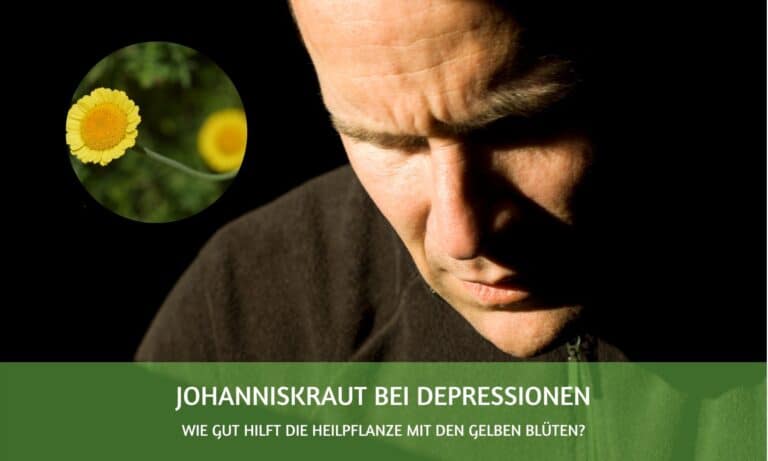 Johanniskraut bei Depressionen