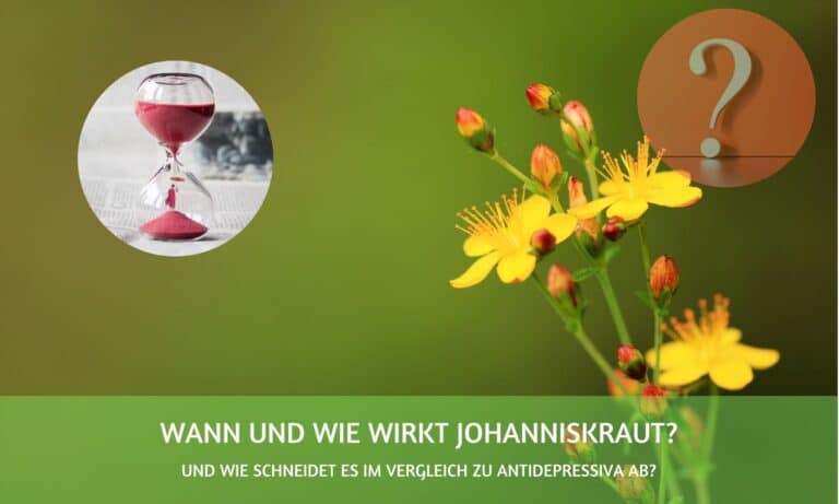 Wann und wie wirkt Johanniskraut