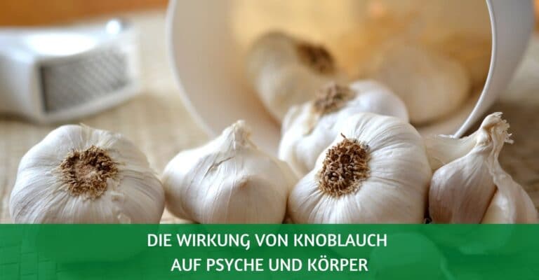 Knoblauch Wirkung Psyche