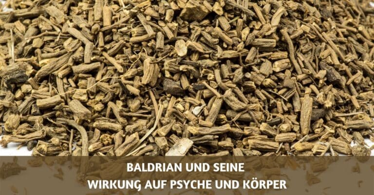 Baldrian Wirkung Psyche und Koerper