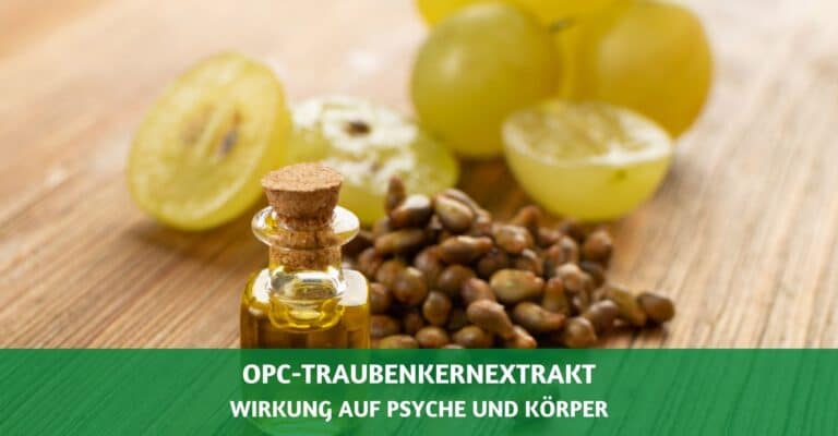 OPC-Traubenkernextrakt und seine Wirkung auf Psyche und Körper