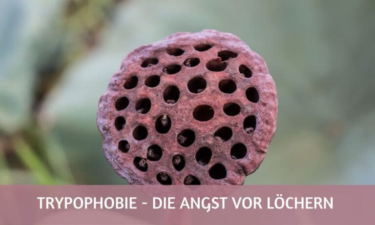 Trypophobie die Angst vor Loechern