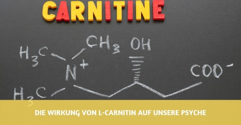 l carnitin wirkung psyche