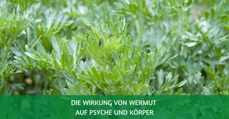 wermut wirkung psyche