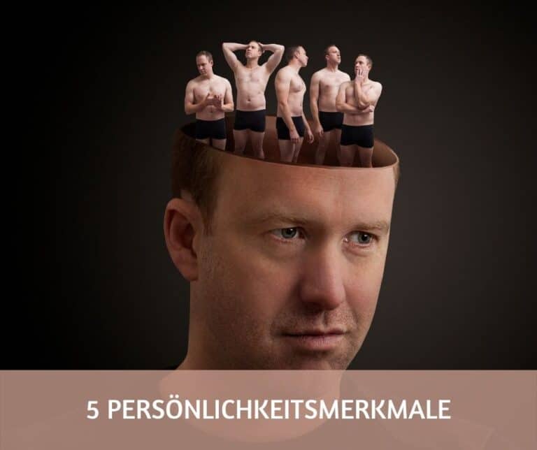 5 Persoenlichkeitsmerkmale