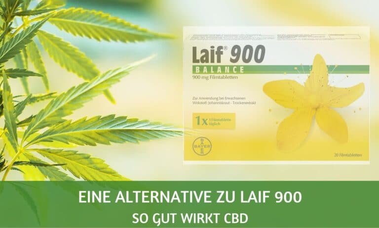 Eine Laif 900 Alternative: CBD-Öl