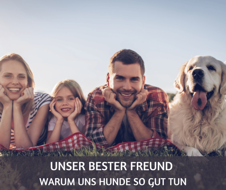 Unser bester Freund warum uns Hunde so gut tun