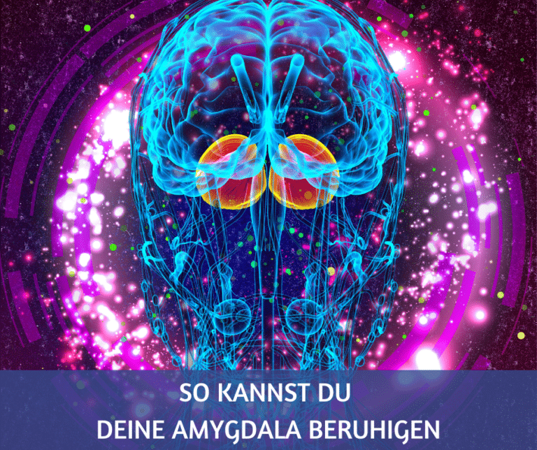 Amygdala beruhigen, wenn die Sicherung wieder durchbrennt