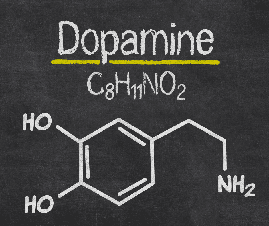 Dopamin Formel Dopamin Formel