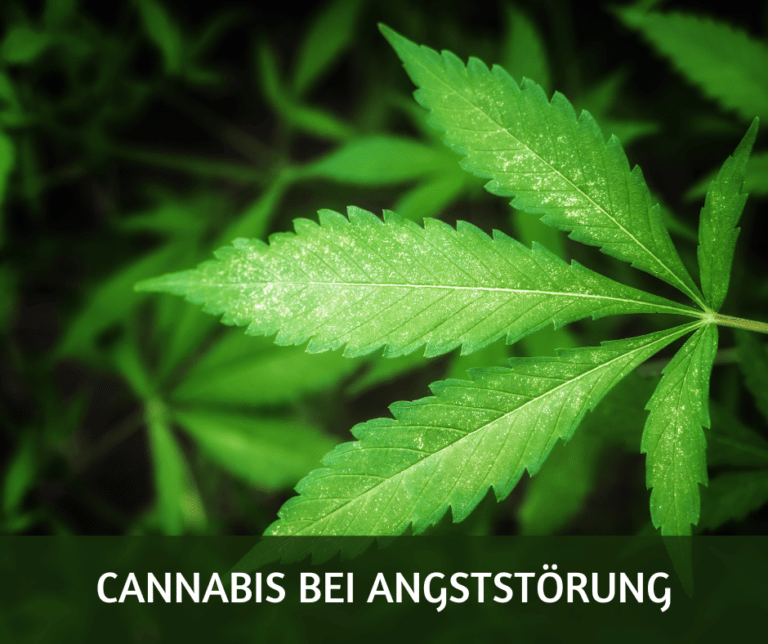 Cannabis bei Angststörung: wie gut hilft es?