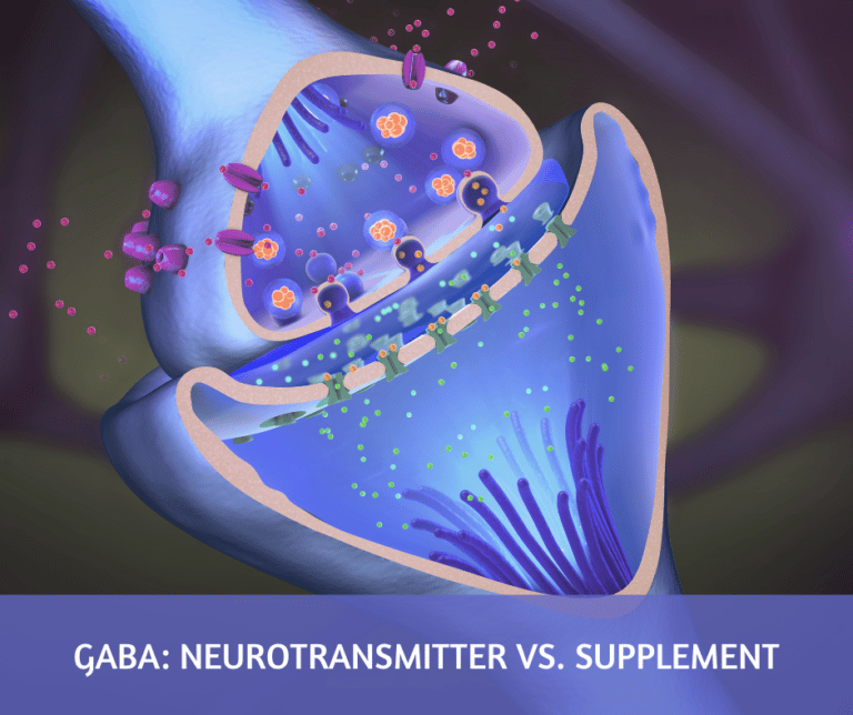 GABA Neurotransmitter vs. Supplement