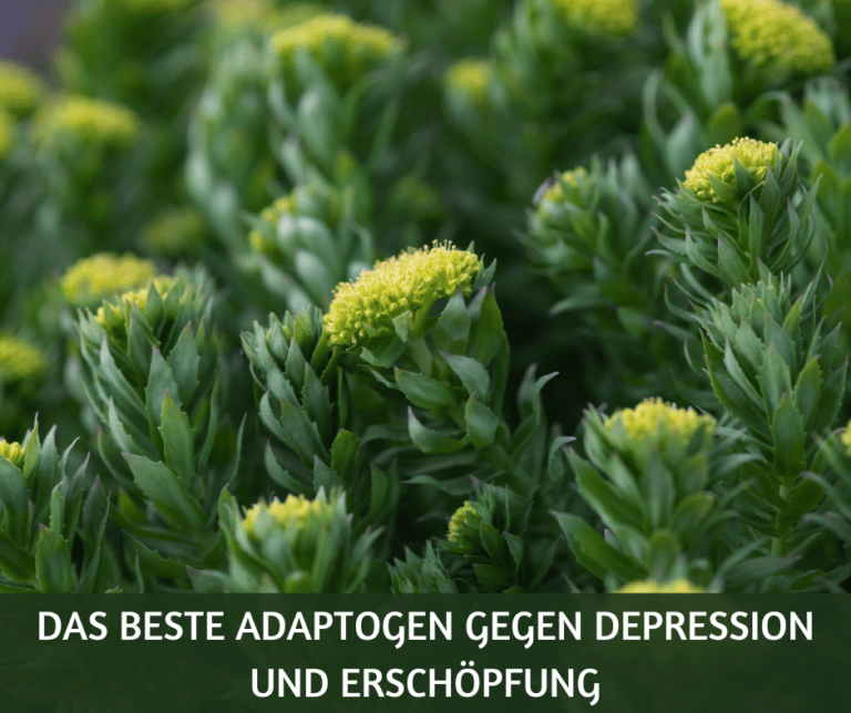 Adaptogen gegen Depression und Erschoepfung