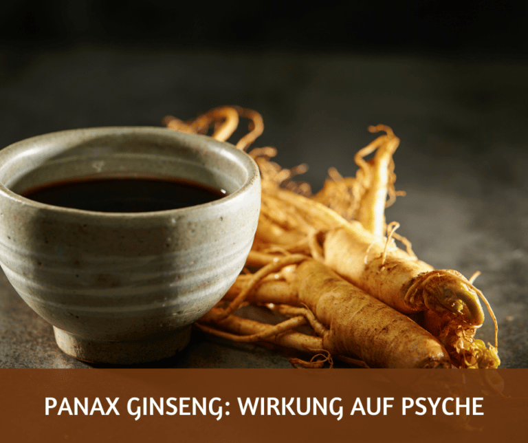 Panax Ginseng Wirkung auf Psyche