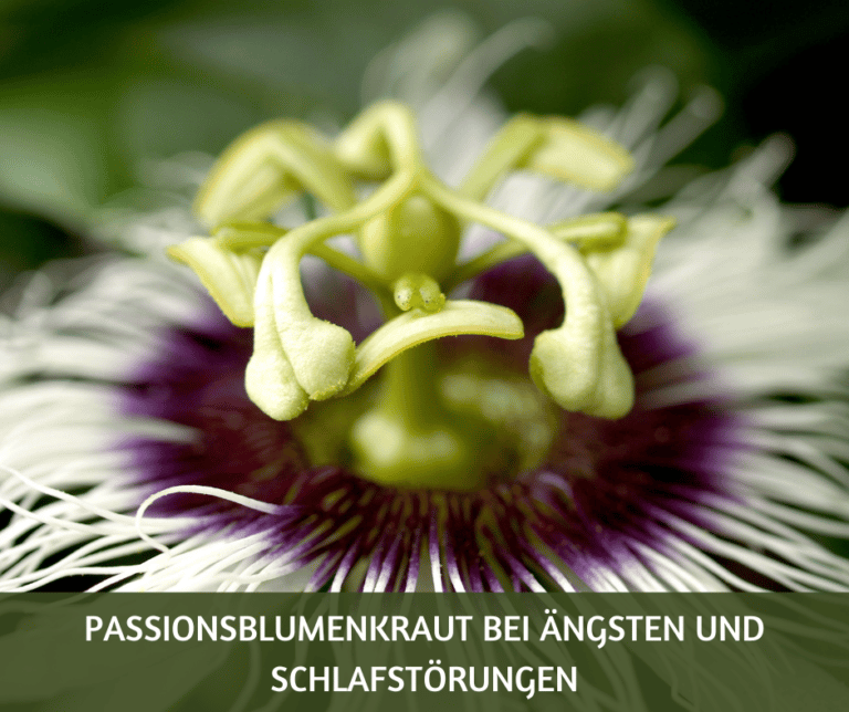 Passionsblumenkraut bei Aengsten und Schlafstoerungen