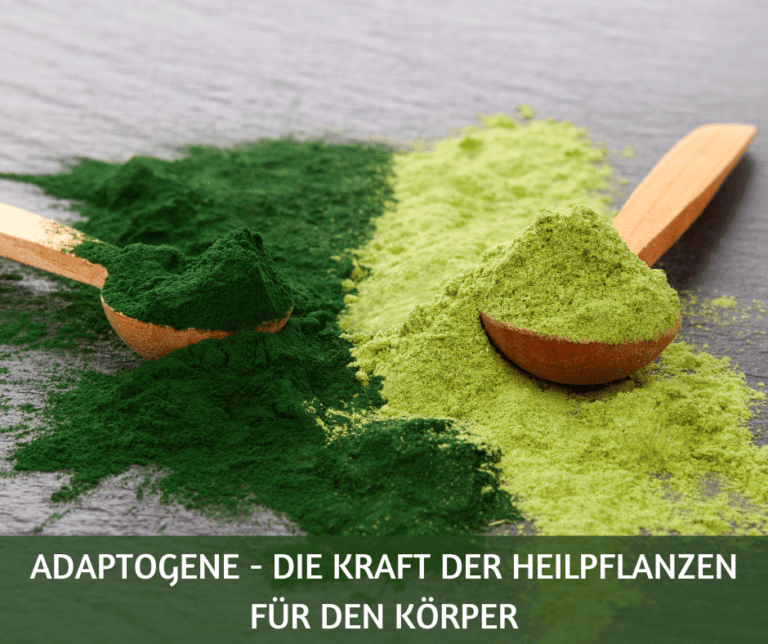 Adaptogene Die Kraft der Heilpflanzen fuer den Koerper