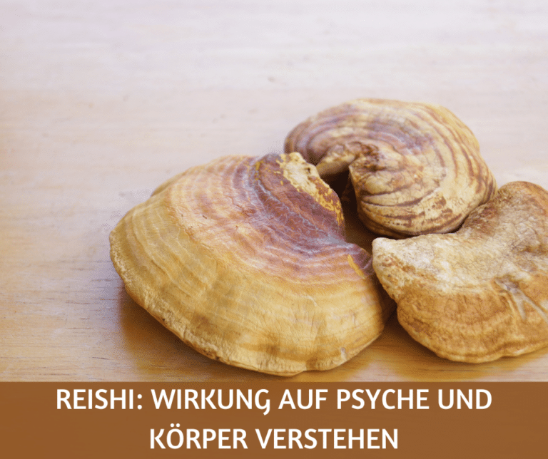 Reishi Wirkung auf Psyche und Körper verstehen