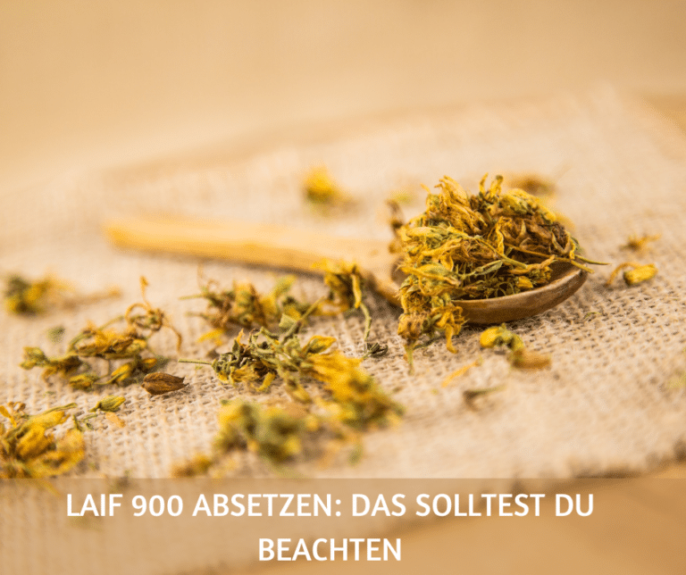 Laif 900 absetzen das solltest du beachten