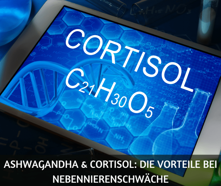 Ashwagandha & Cortisol Die Vorteile bei Nebennierenschwäche