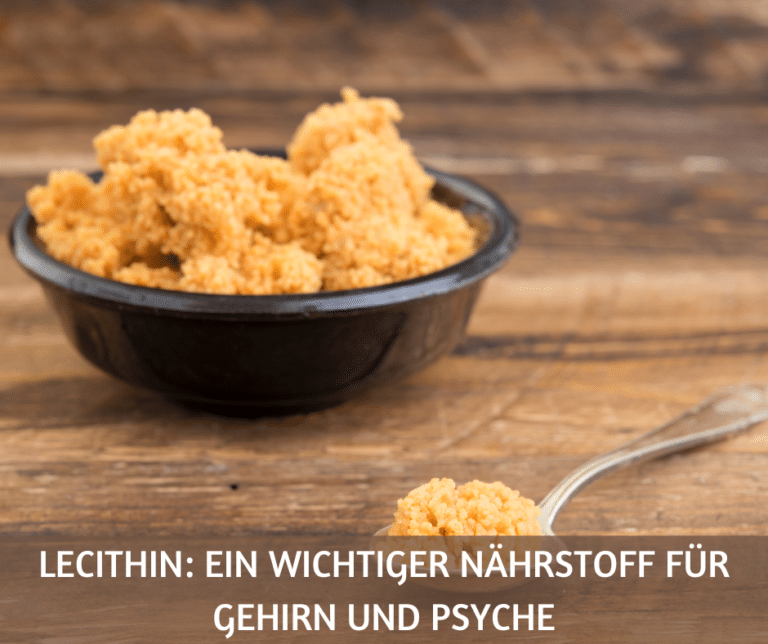 Lecithin Gehirn Psyche