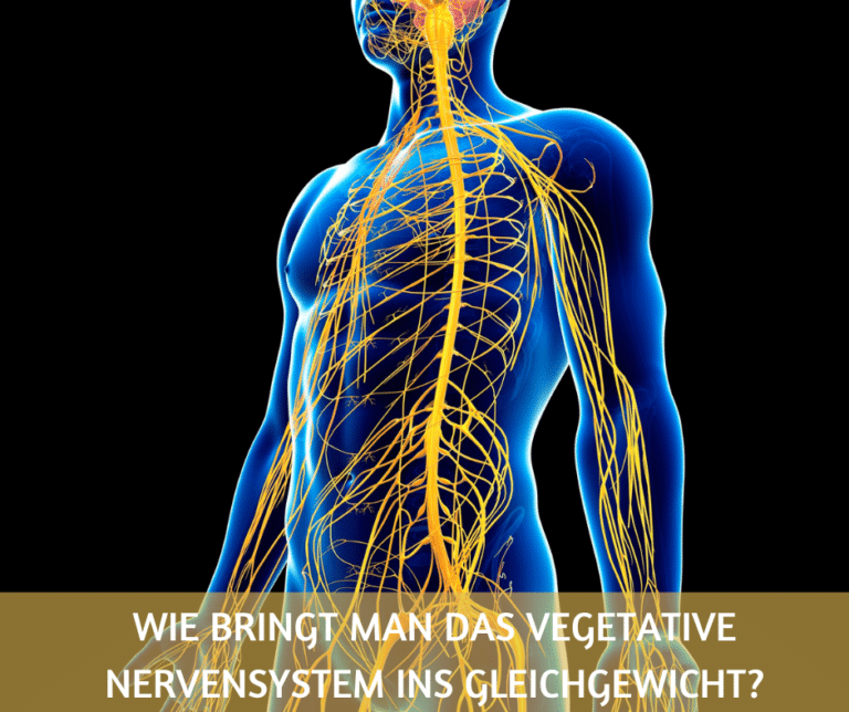 Wie bringt man das vegetative Nervensystem ins Gleichgewicht