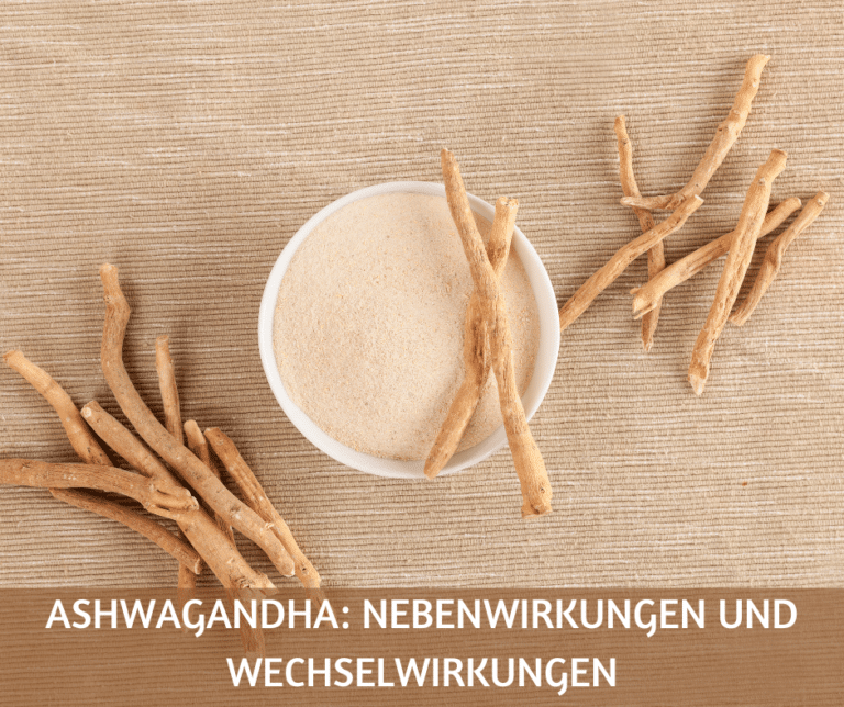 Ashwagandha Nebenwirkungen und Wechselwirkungen