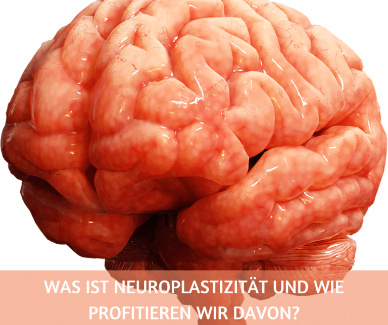 Was ist Neuroplastizität und wie profitieren wir davon