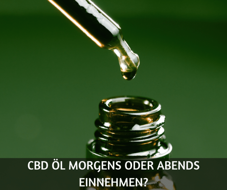 CBD öl morgens oder abends einnehmen