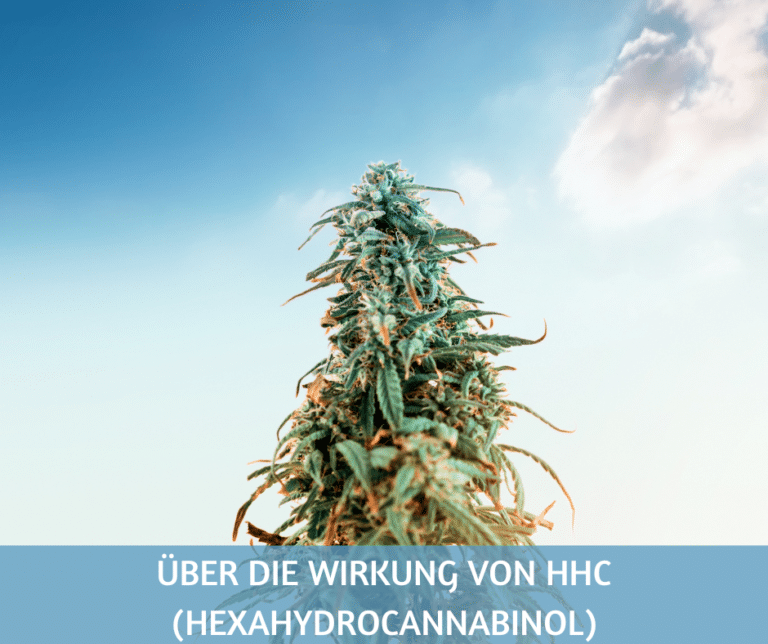 Die Wirkung von HHC (Hexahydrocannabinol)