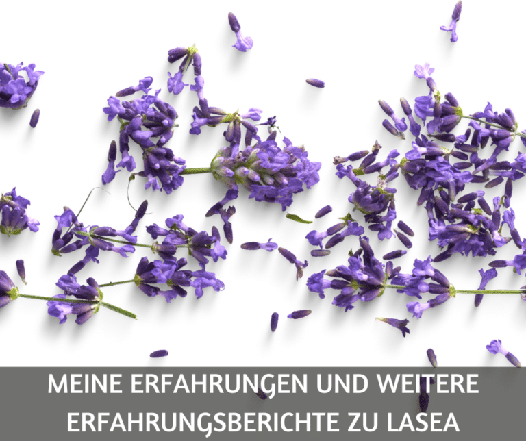 Meine Erfahrungen und weitere Erfahrungsberichte zu Lasea