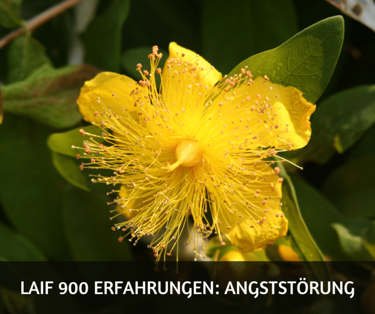 Laif 900 Erfahrungen Angststörung