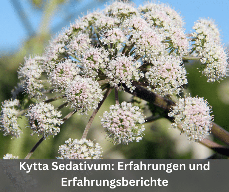 Kytta Sedativum Erfahrungen und Erfahrungsberichte