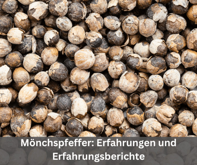 Mönchspfeffer Erfahrungen und Erfahrungsberichte