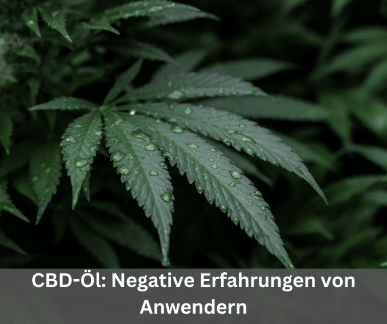 CBD-Öl Negative Erfahrungen von Anwendern