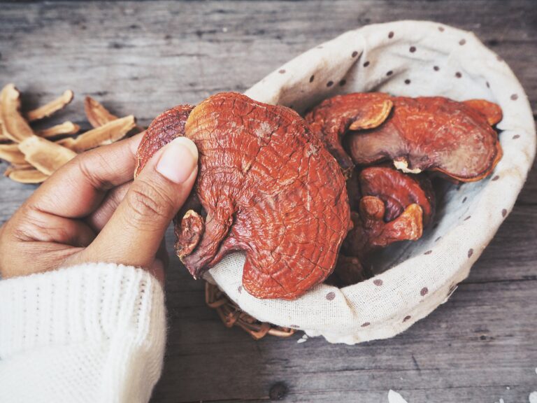 Ganoderma Lucidum - Ling Zhi Mushroom.